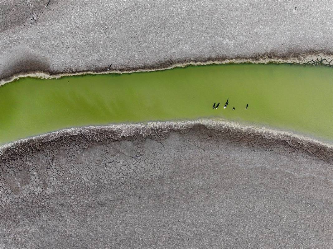 Rakamlar hiç bu kadar korkutmamıştı! Konya çölleşiyor 11